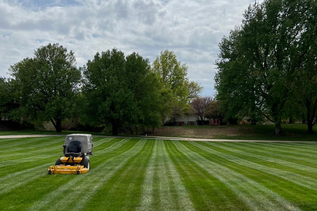 Biggest Littlest Lawn Care Service LLC