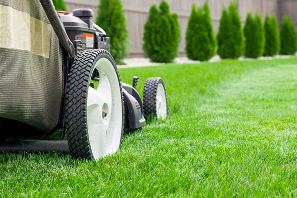 Power Lawnmower Co., LLC Power Lawnmower Co., LLC