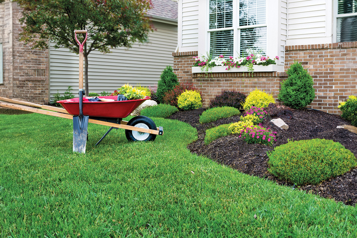 Affordable Landscape Care
