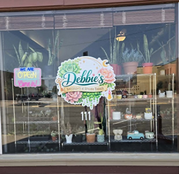 Debbie's Succulents & Stylish Things