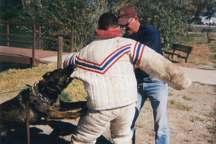 Protection - Professional K9 Protection - Professional K9