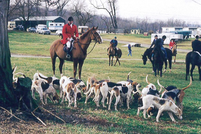 Training - Hunting/Retrieving Training - Hunting/Retrieving