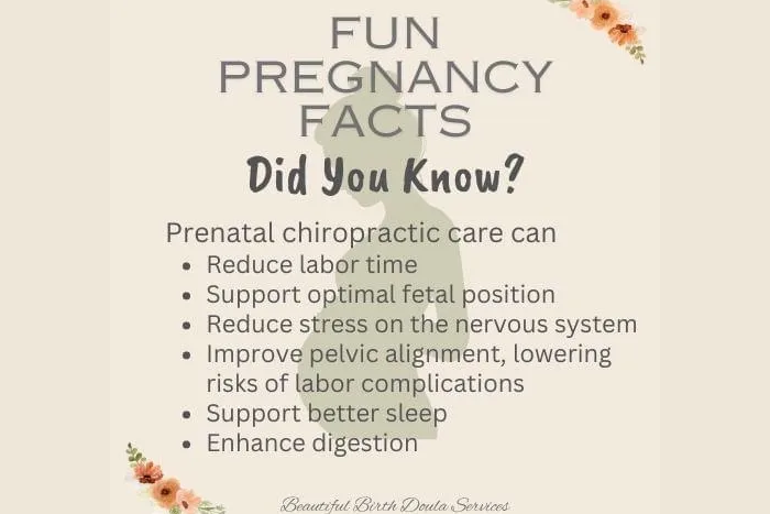 Pregnancy, Postpartum & Doula Support