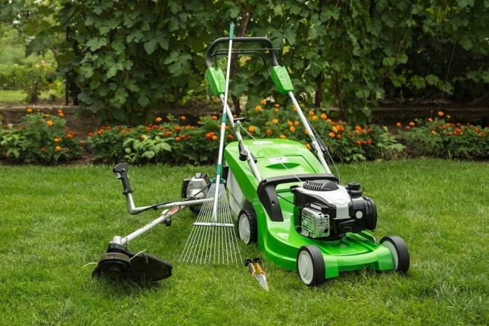 Lawn Maintenance