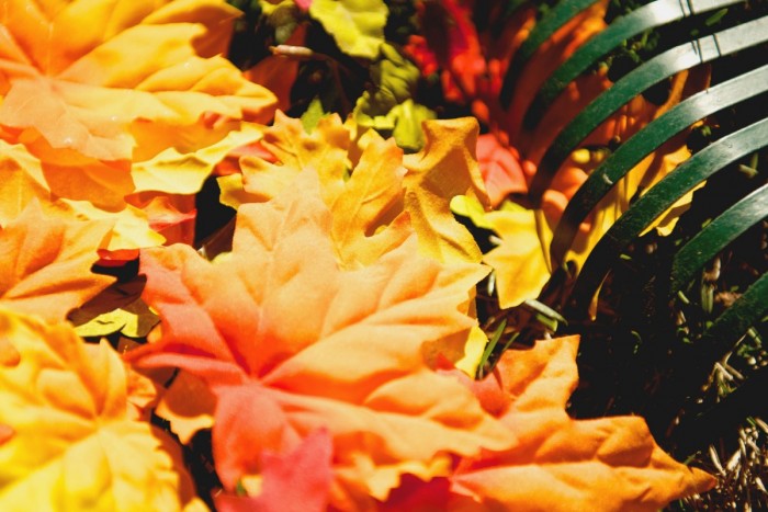 Leaf & Lawn Clean-Up