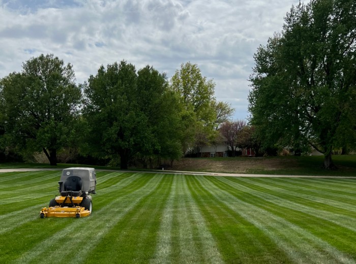 Biggest Littlest Lawn Care Service LLC