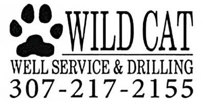 307 WildCat Well Service
